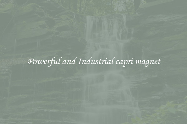 Powerful and Industrial capri magnet