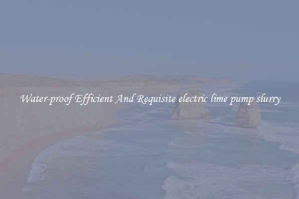 Water-proof Efficient And Requisite electric lime pump slurry