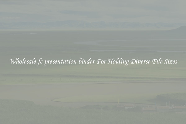 Wholesale fc presentation binder For Holding Diverse File Sizes