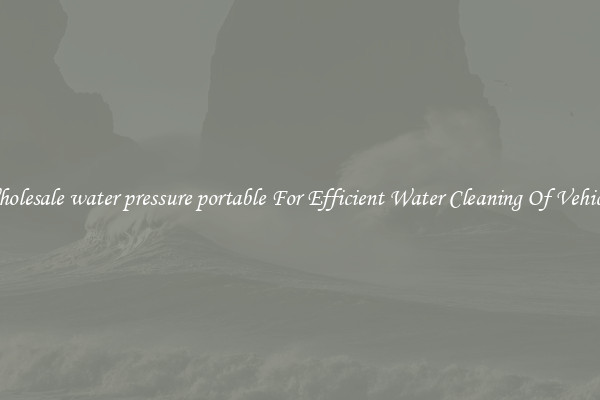 Wholesale water pressure portable For Efficient Water Cleaning Of Vehicles