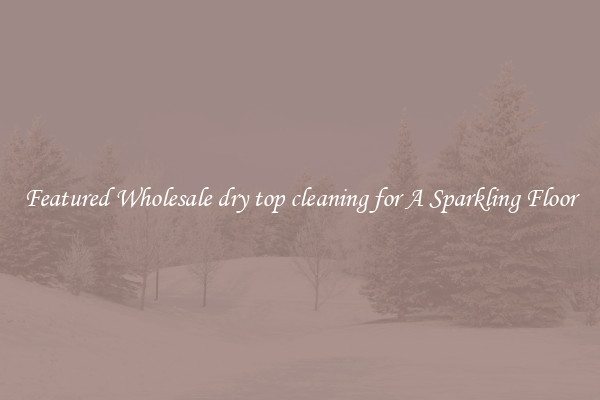Featured Wholesale dry top cleaning for A Sparkling Floor