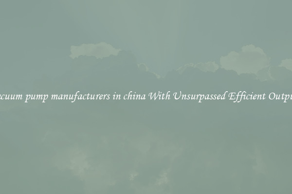 vacuum pump manufacturers in china With Unsurpassed Efficient Outputs