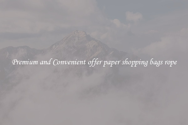 Premium and Convenient offer paper shopping bags rope