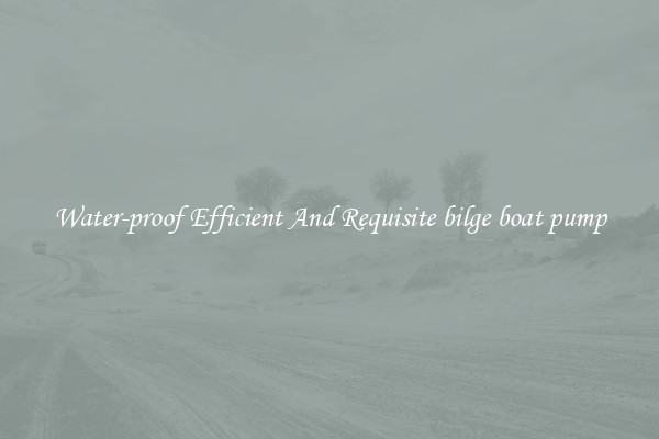 Water-proof Efficient And Requisite bilge boat pump
