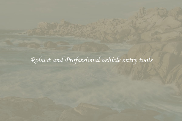 Robust and Professional vehicle entry tools