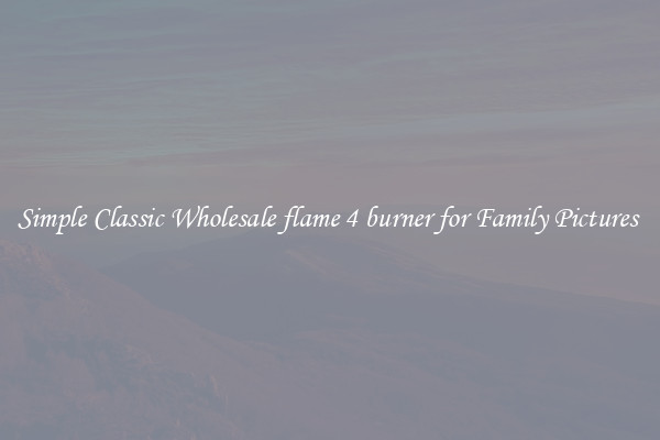 Simple Classic Wholesale flame 4 burner for Family Pictures 