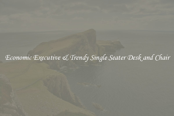 Economic Executive & Trendy Single Seater Desk and Chair