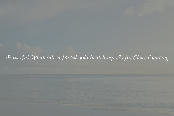 Powerful Wholesale infrared gold heat lamp r7s for Clear Lighting