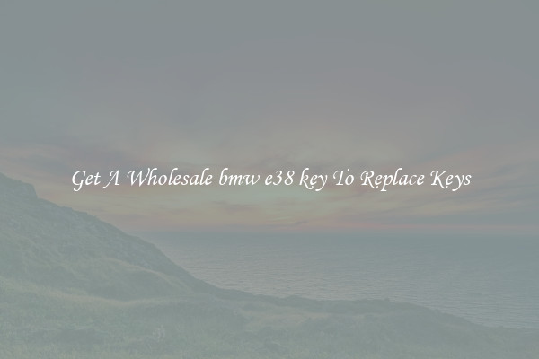 Get A Wholesale bmw e38 key To Replace Keys