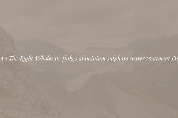Source The Right Wholesale flakes aluminium sulphate water treatment Online