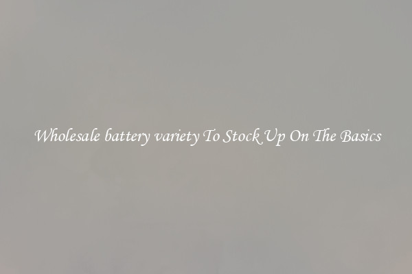 Wholesale battery variety To Stock Up On The Basics