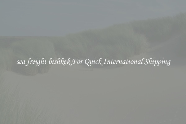 sea freight bishkek For Quick International Shipping