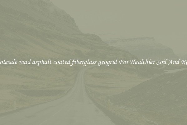 Wholesale road asphalt coated fiberglass geogrid For Healthier Soil And Roads