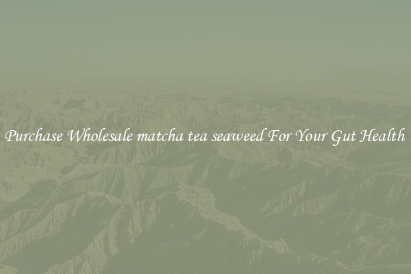 Purchase Wholesale matcha tea seaweed For Your Gut Health 