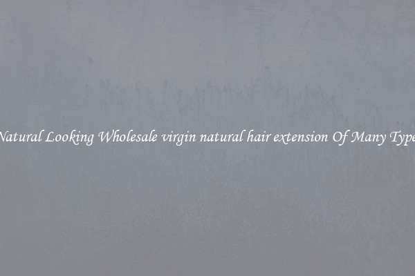 Natural Looking Wholesale virgin natural hair extension Of Many Types
