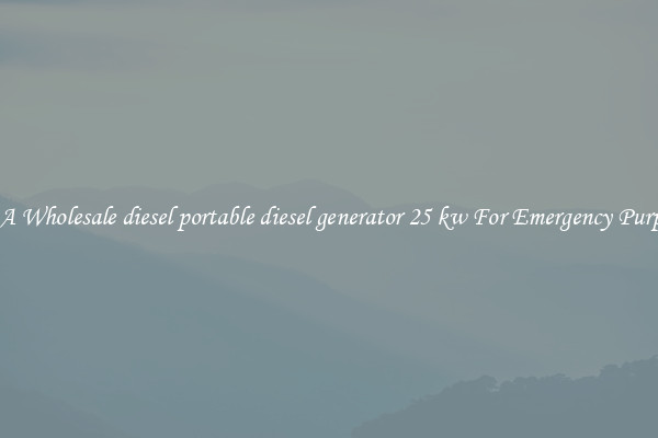 Get A Wholesale diesel portable diesel generator 25 kw For Emergency Purposes