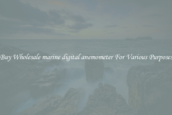 Buy Wholesale marine digital anemometer For Various Purposes
