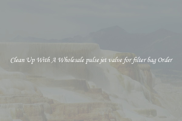 Clean Up With A Wholesale pulse jet valve for filter bag Order